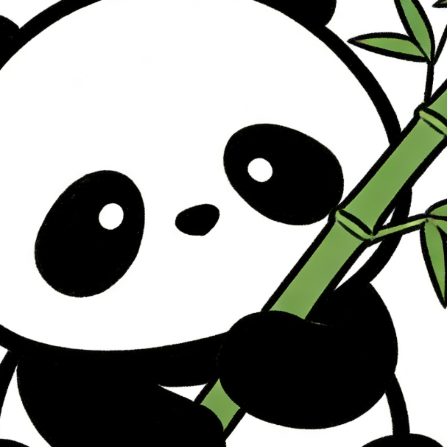 ChuaN