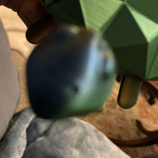 turgleDude