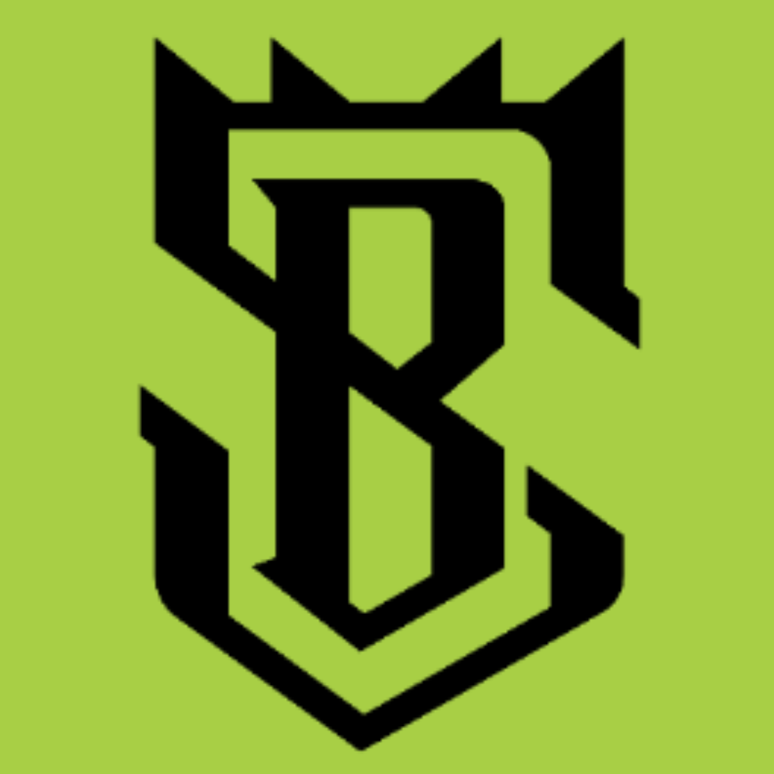 BSPORT