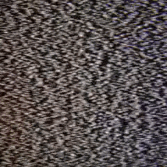 berustar