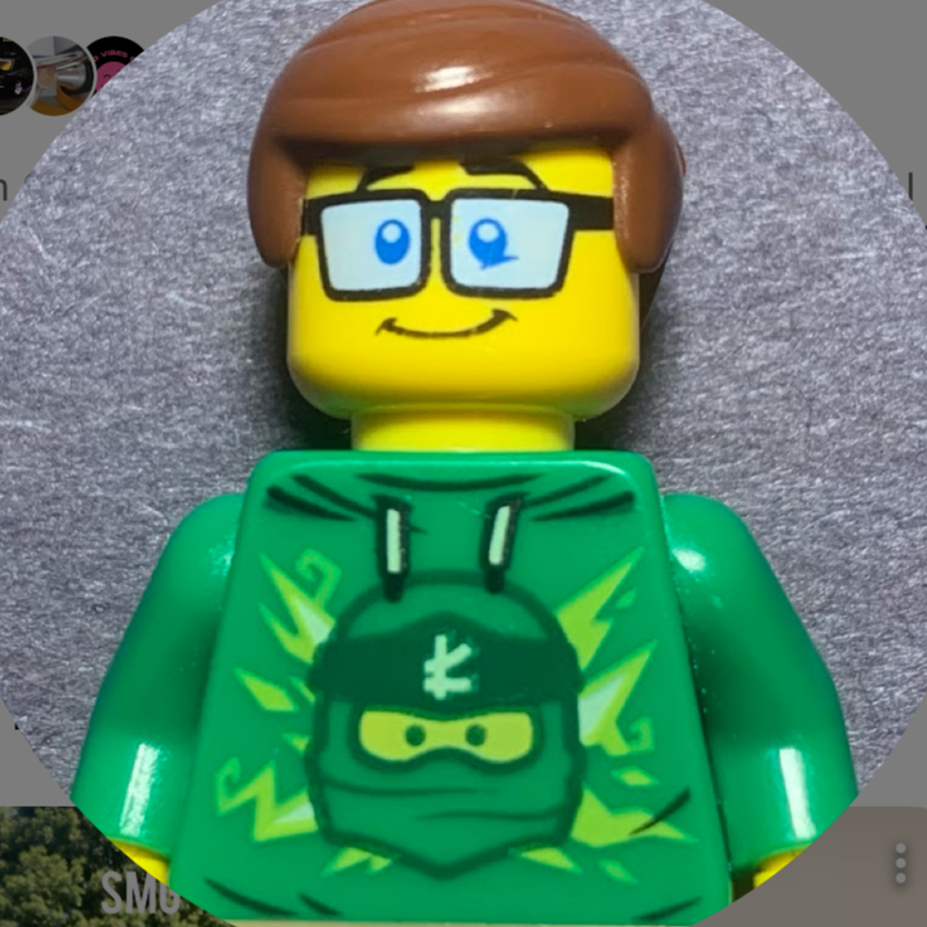 CrazyBricks