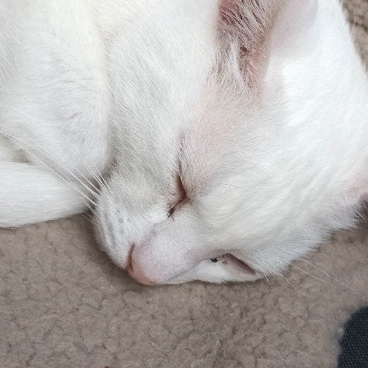 user_212561098