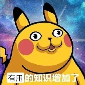 五只国际乳鸽