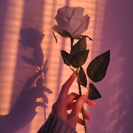 𖹭𐙚 Just a girl 𐙚𖹭