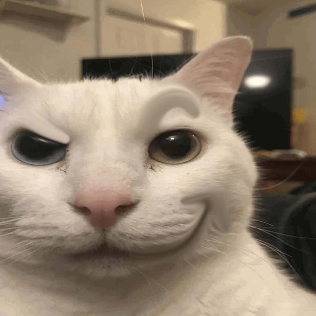 ratita3D