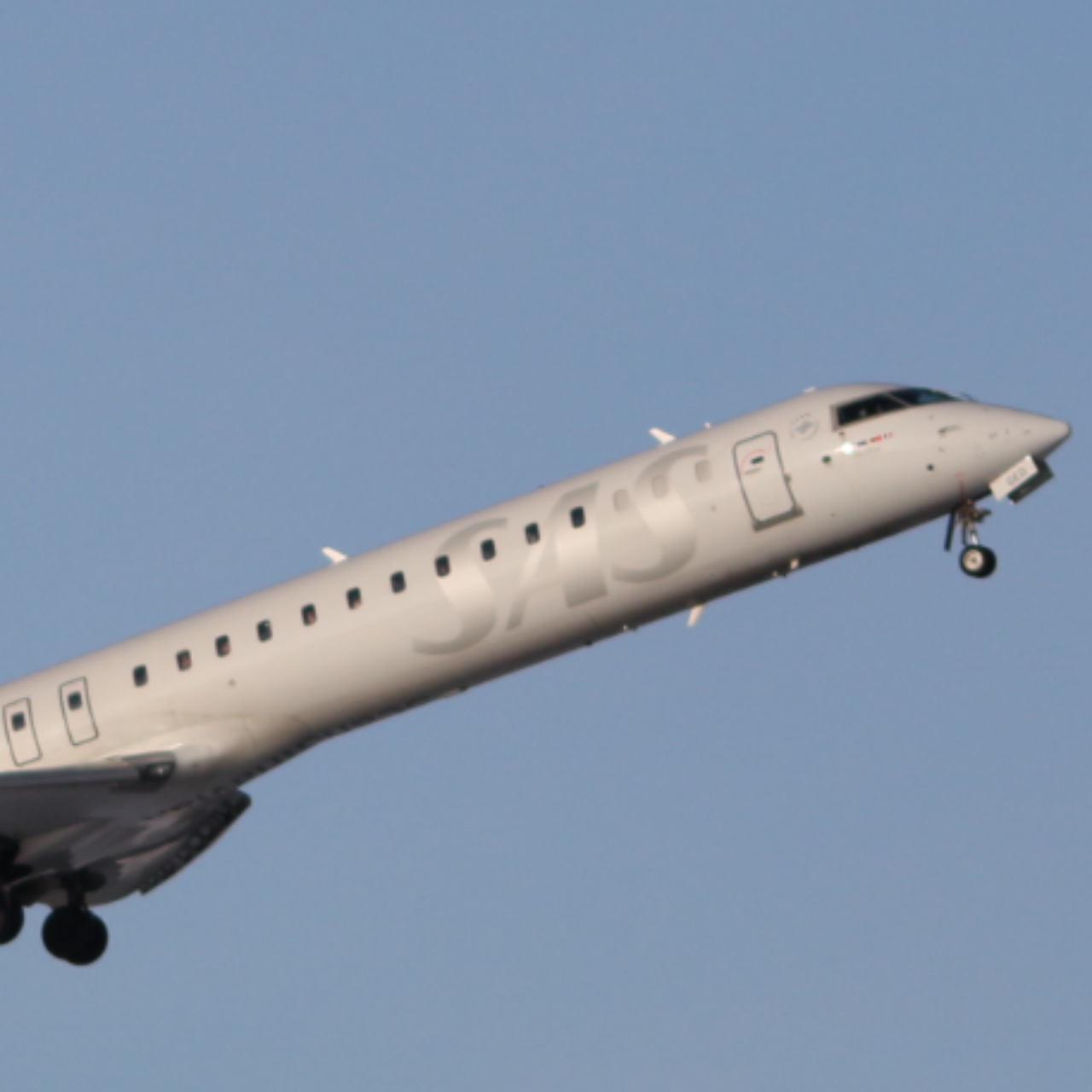 LimpidCoder1
