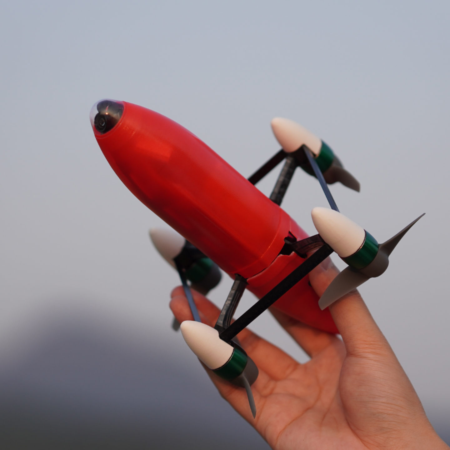SunnyFPV