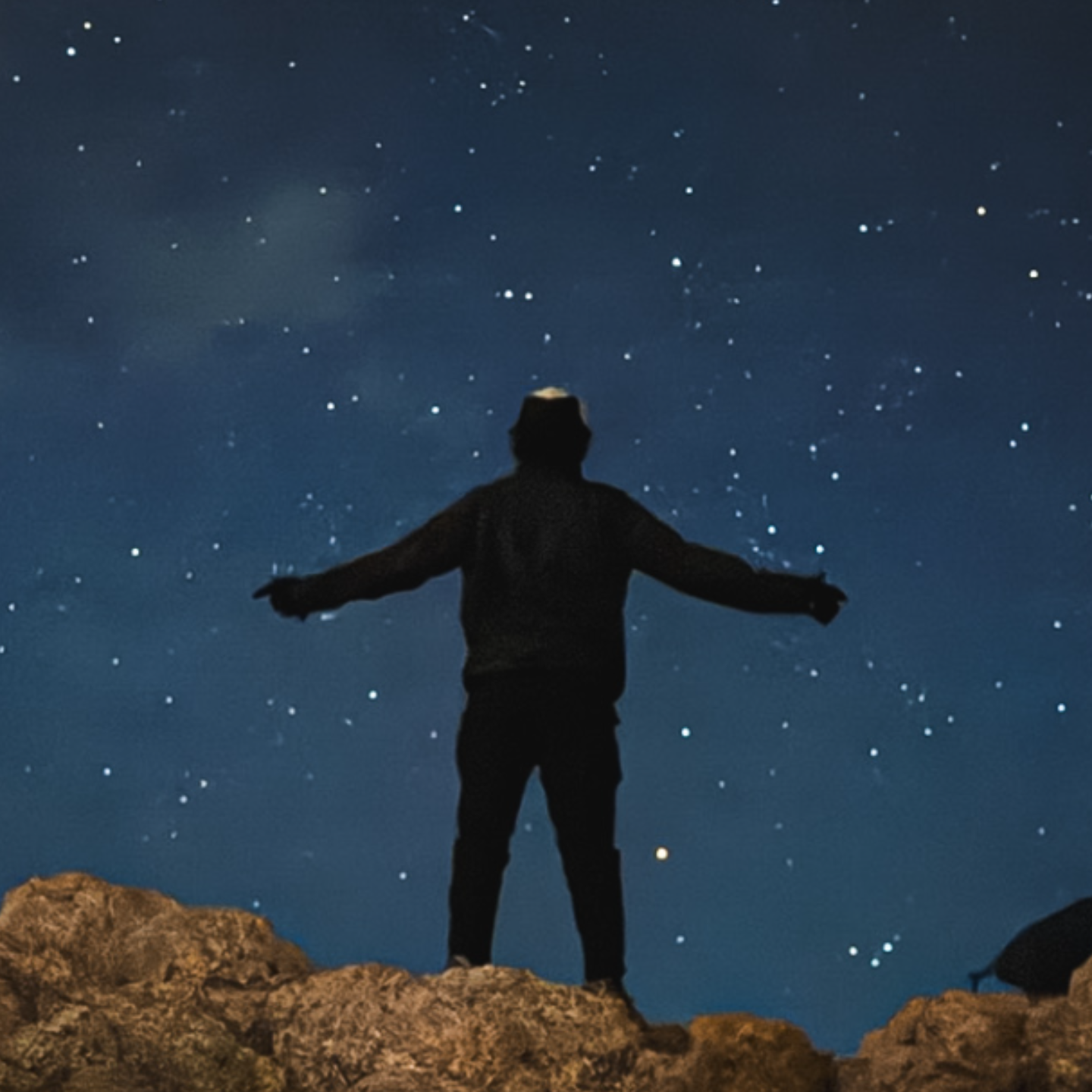 BradynO