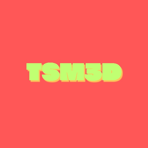 TSM3D