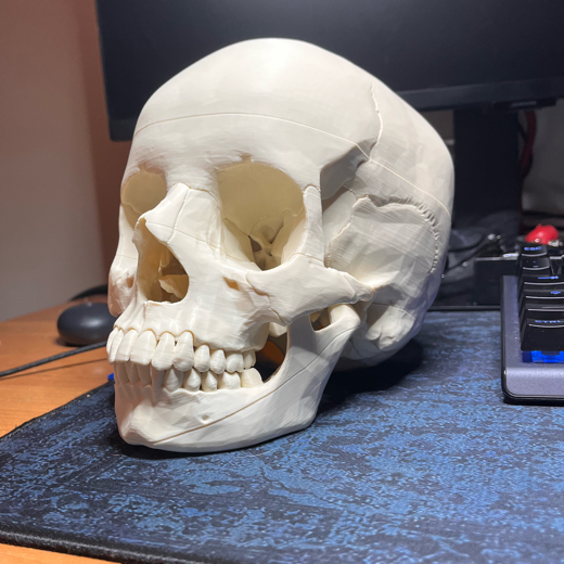 Osteotronics