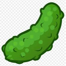Pickle Designs