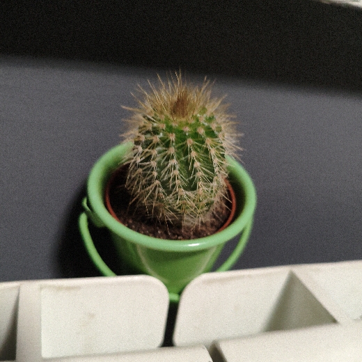 piotrekpiotrt