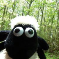VeryAwesomeSheep