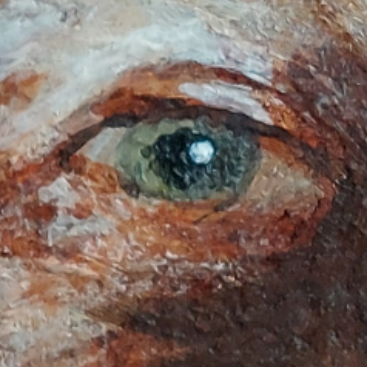 cynsight