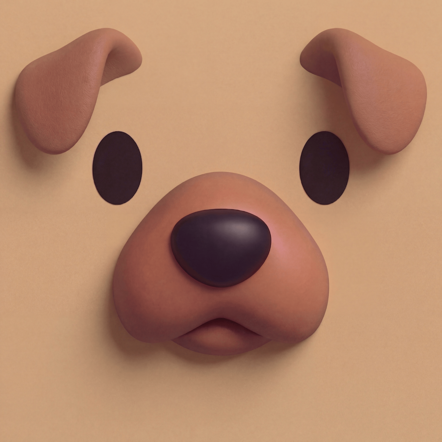 The Dog Vault
