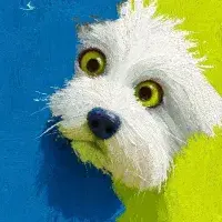 piaofeixu