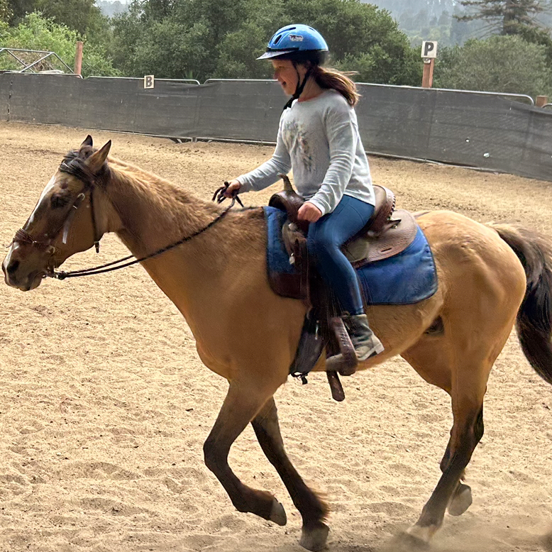Horse lover 101 🐎