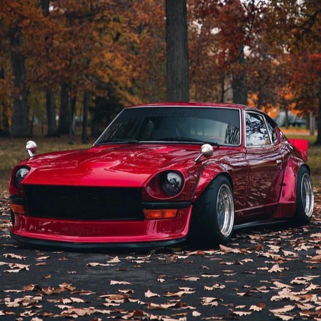 wild_eye