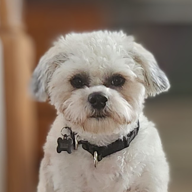 Adam North