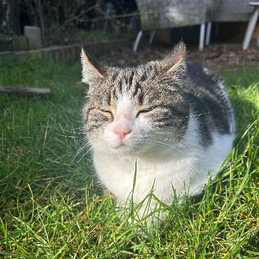 Yushua