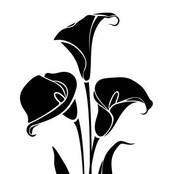 Calla