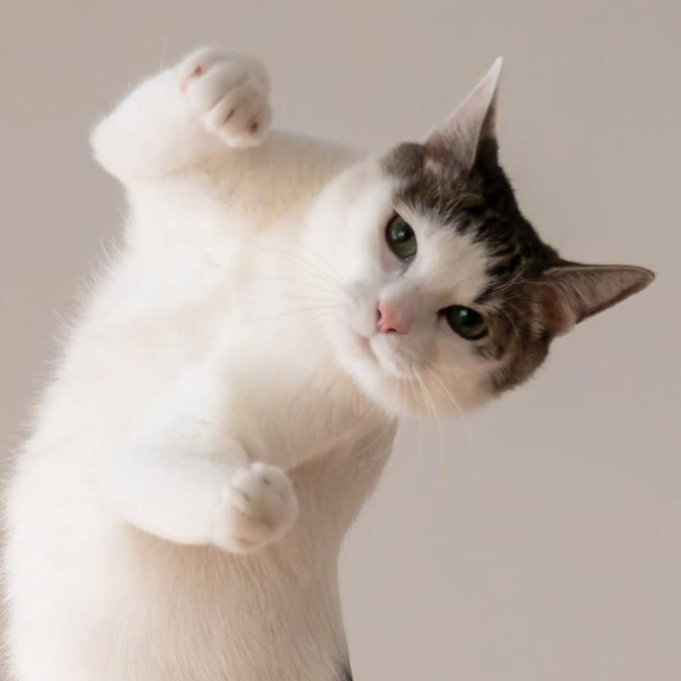 OLI