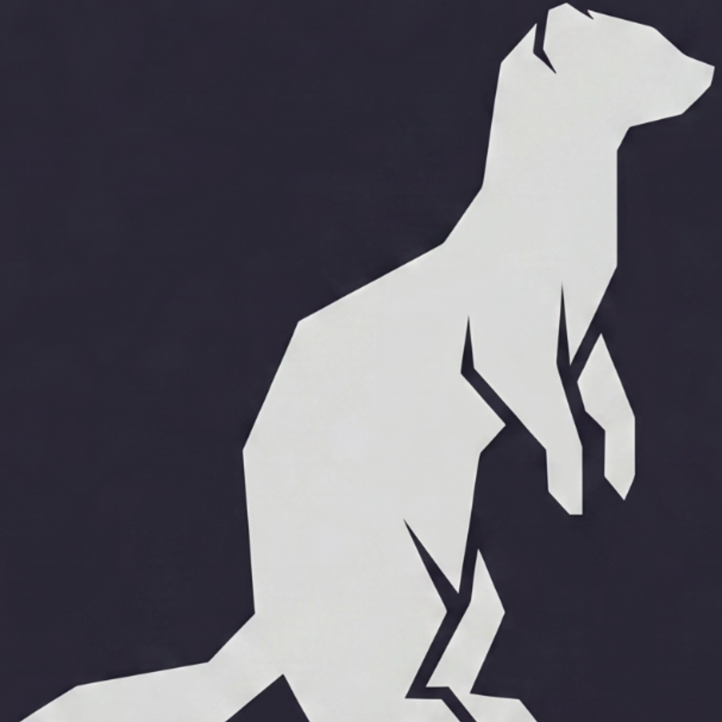 Ferret3D_Studio