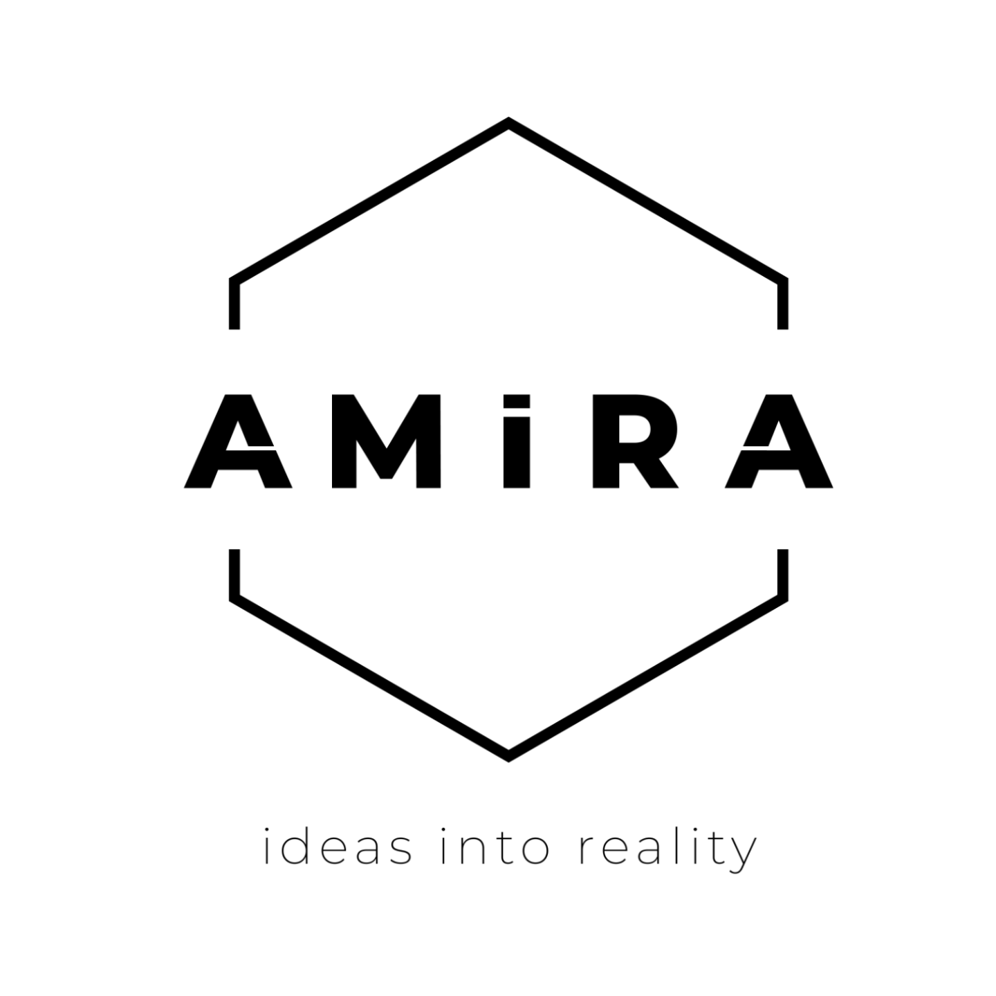 Amira 3d