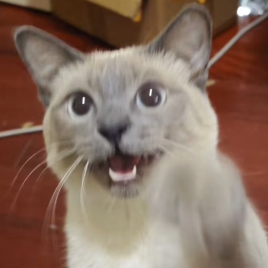 Caisu