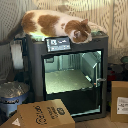 Robin_3dmakes