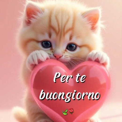 Alessandro