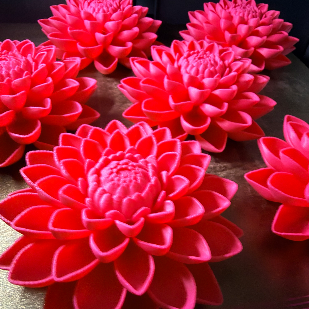 Creations_3D