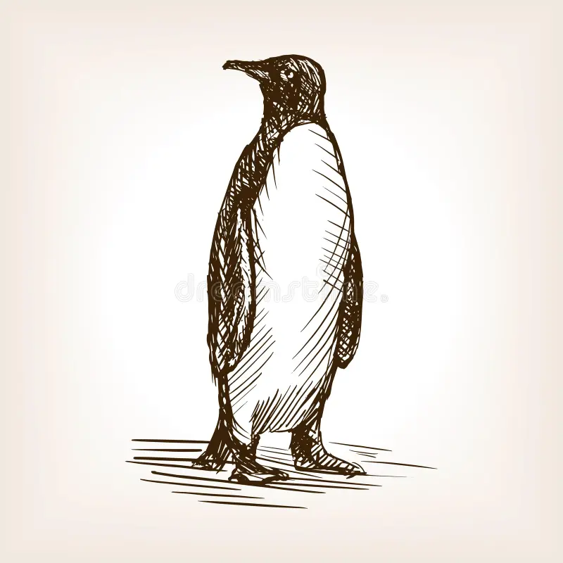 Cvrcek