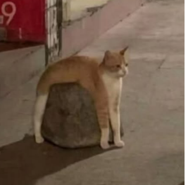 Katanausman1