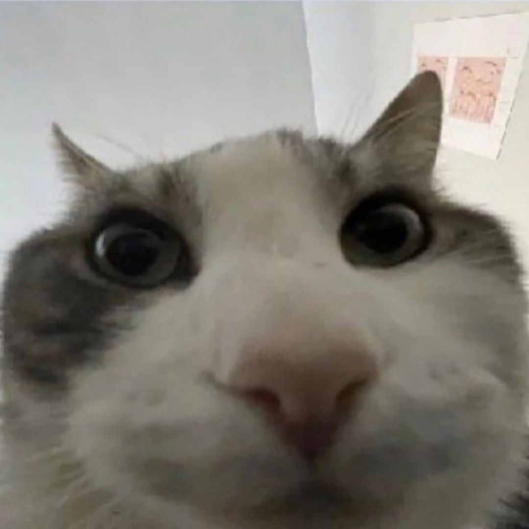 somthingcat