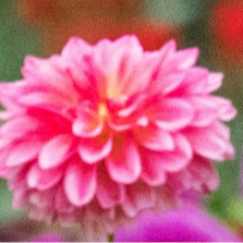 user_2999057818