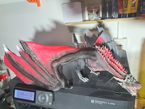 https://makerworld.bblmw.com/makerworld/user/2029420479/collection/2025-03-01_13f4691a24389.jpg
