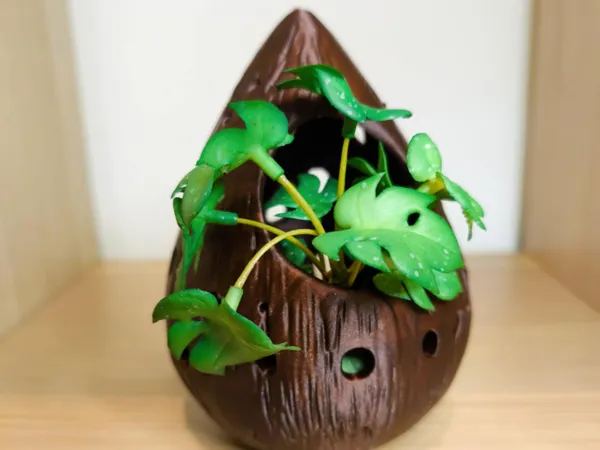 https://makerworld.bblmw.com/makerworld/user/2029776338/collection/2025-03-07_40d5226fbc2ed.jpg