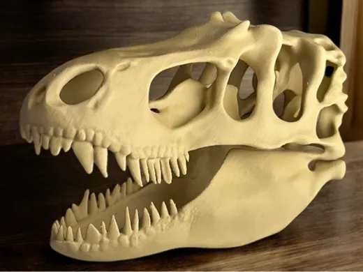 https://makerworld.bblmw.com/makerworld/user/2051165369/collection/3ac65550-aba7-11f0-94a9-2951f985a2d1.jpg