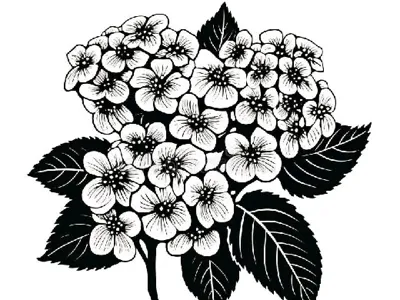 Tani 