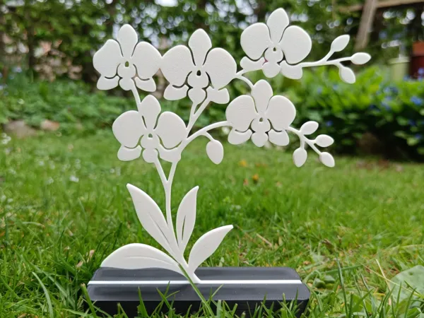 https://makerworld.bblmw.com/makerworld/user/211148141/collection/2025-04-19_01d818b364e85.jpg