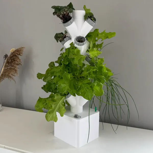 https://makerworld.bblmw.com/makerworld/user/2117269962/collection/2025-07-25_9f5d880465b6f.jpg