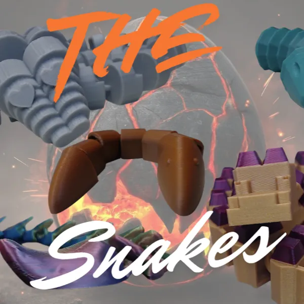https://makerworld.bblmw.com/makerworld/user/2130502160/collection/2025-10-12_7b73bb6c6dfcd.png