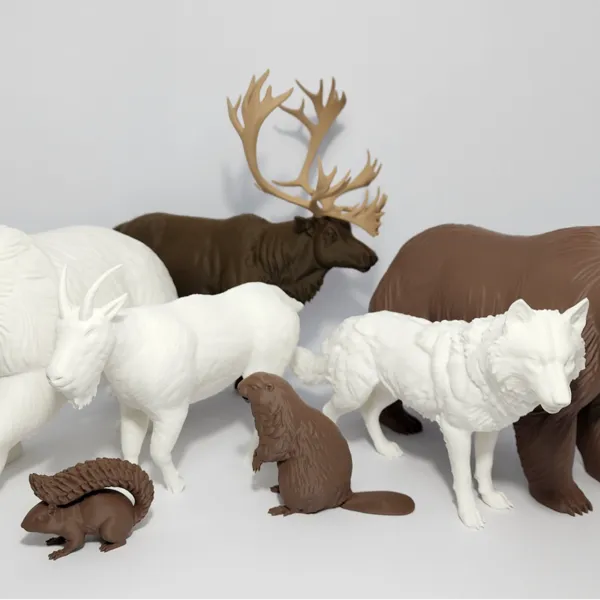 https://makerworld.bblmw.com/makerworld/user/2202832048/collection/2026-01-19_46aa54d48bd9d.jpg