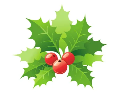 XMAS