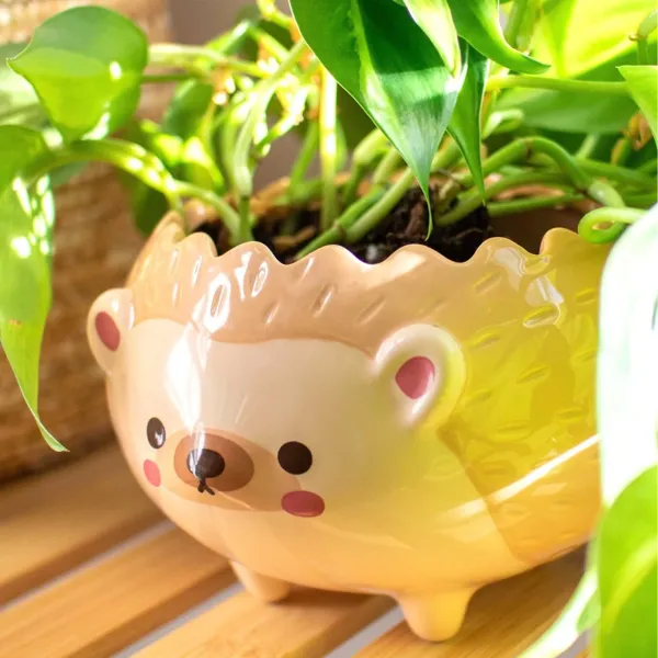 https://makerworld.bblmw.com/makerworld/user/2262567546/collection/2025-11-19_c712688dc825c8.webp