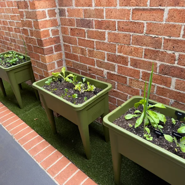 https://makerworld.bblmw.com/makerworld/user/2353955497/collection/2025-11-15_89893edbb2afe.jpeg
