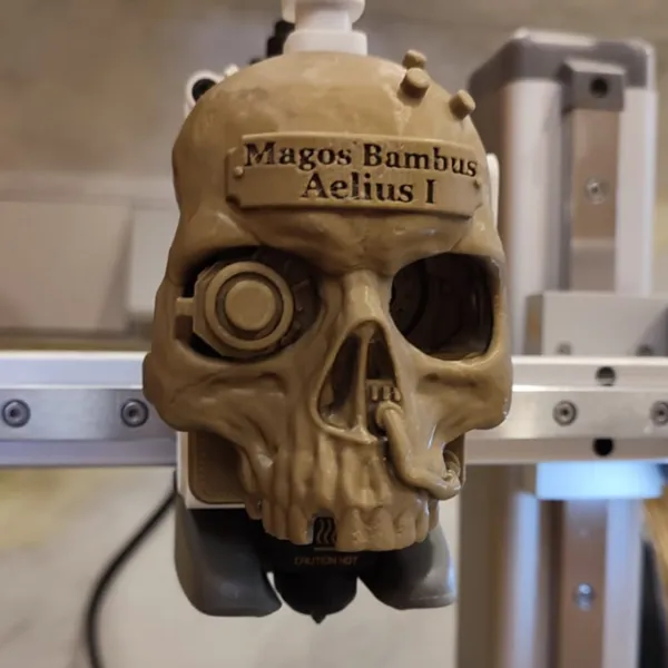 https://makerworld.bblmw.com/makerworld/user/2396077750/collection/2025-05-10_e9656c8083db58.jpeg
