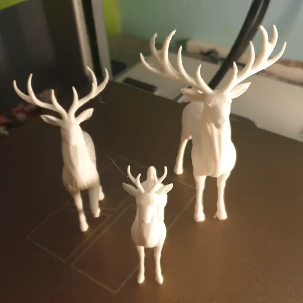 https://makerworld.bblmw.com/makerworld/user/2409268914/collection/2025-11-21_41ea5844148568.jpg