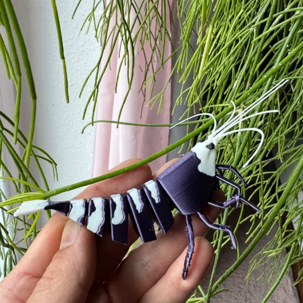 https://makerworld.bblmw.com/makerworld/user/24141682/collection/2025-05-24_c8990b42dea578.jpeg